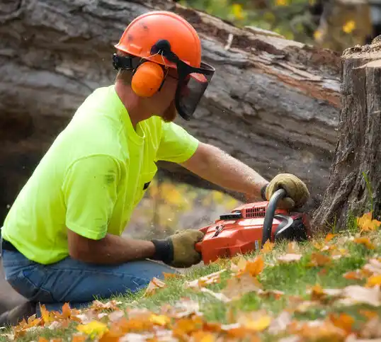 tree services Fulton